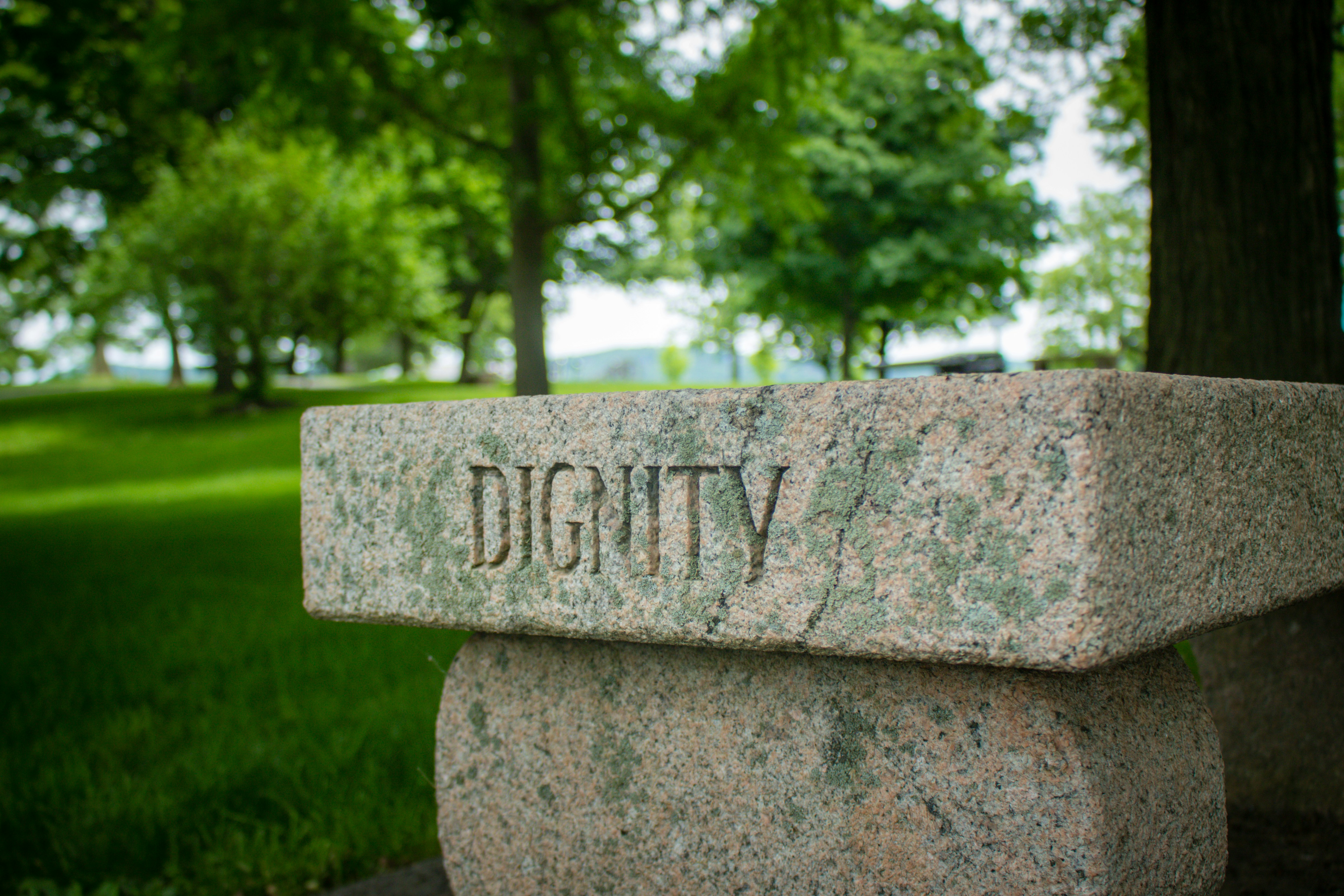 How to Reclaim Your Dignity dave-lowe-nJTcfvqcJKc-unsplash