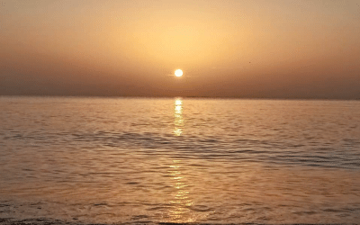 Pride and Shame: What Lies Between