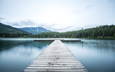 Finding Peace in the Present: Mindfulness and Grounding Techniques for Conquering Anxiety and Panic Attacks