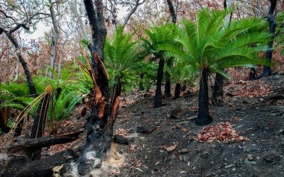 Emotional Resilience