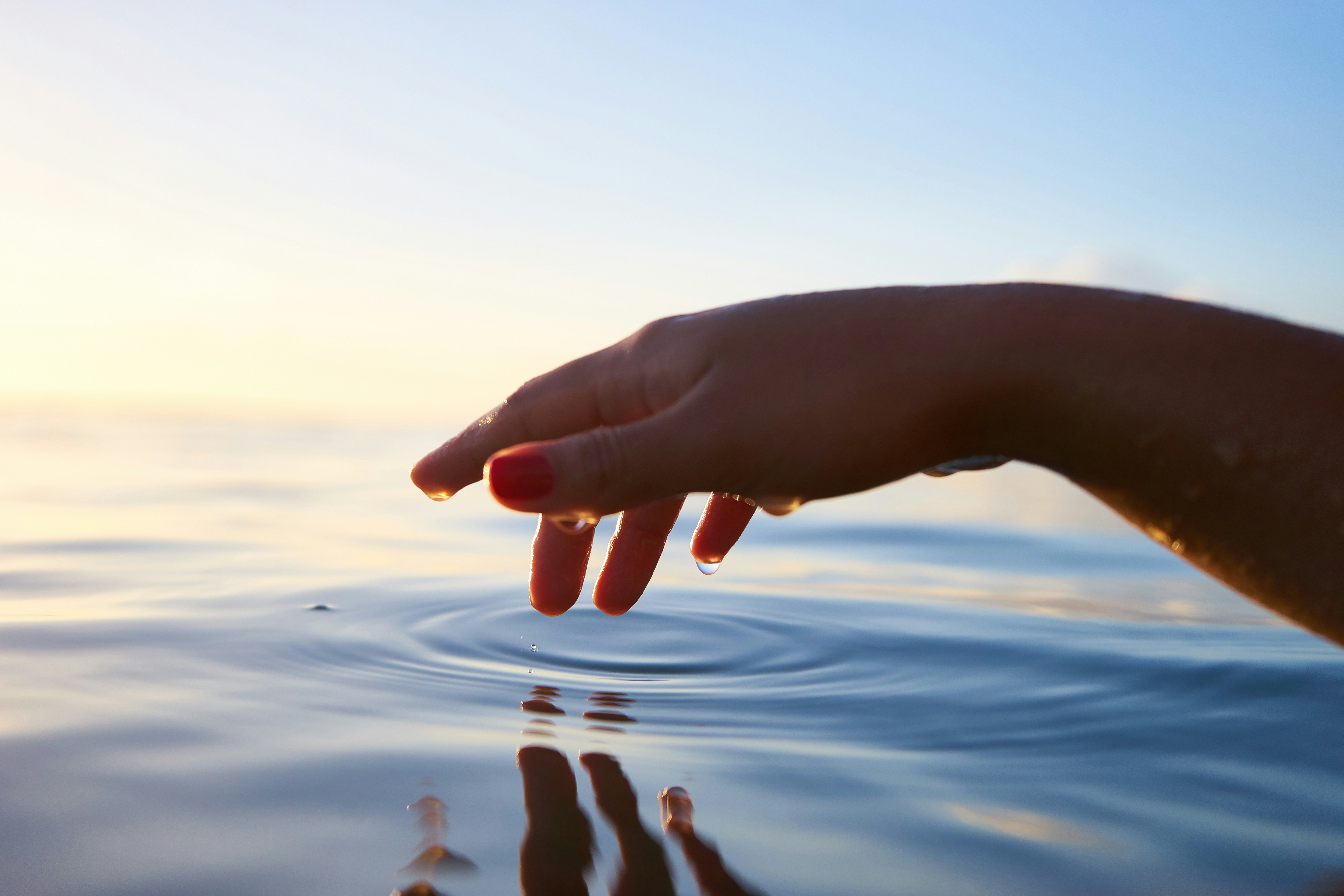Completing the Stress Cycle: The Key to True Healing yoann-boyer-i14h2xyPr18-unsplash