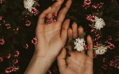 Embrace Your Emotions