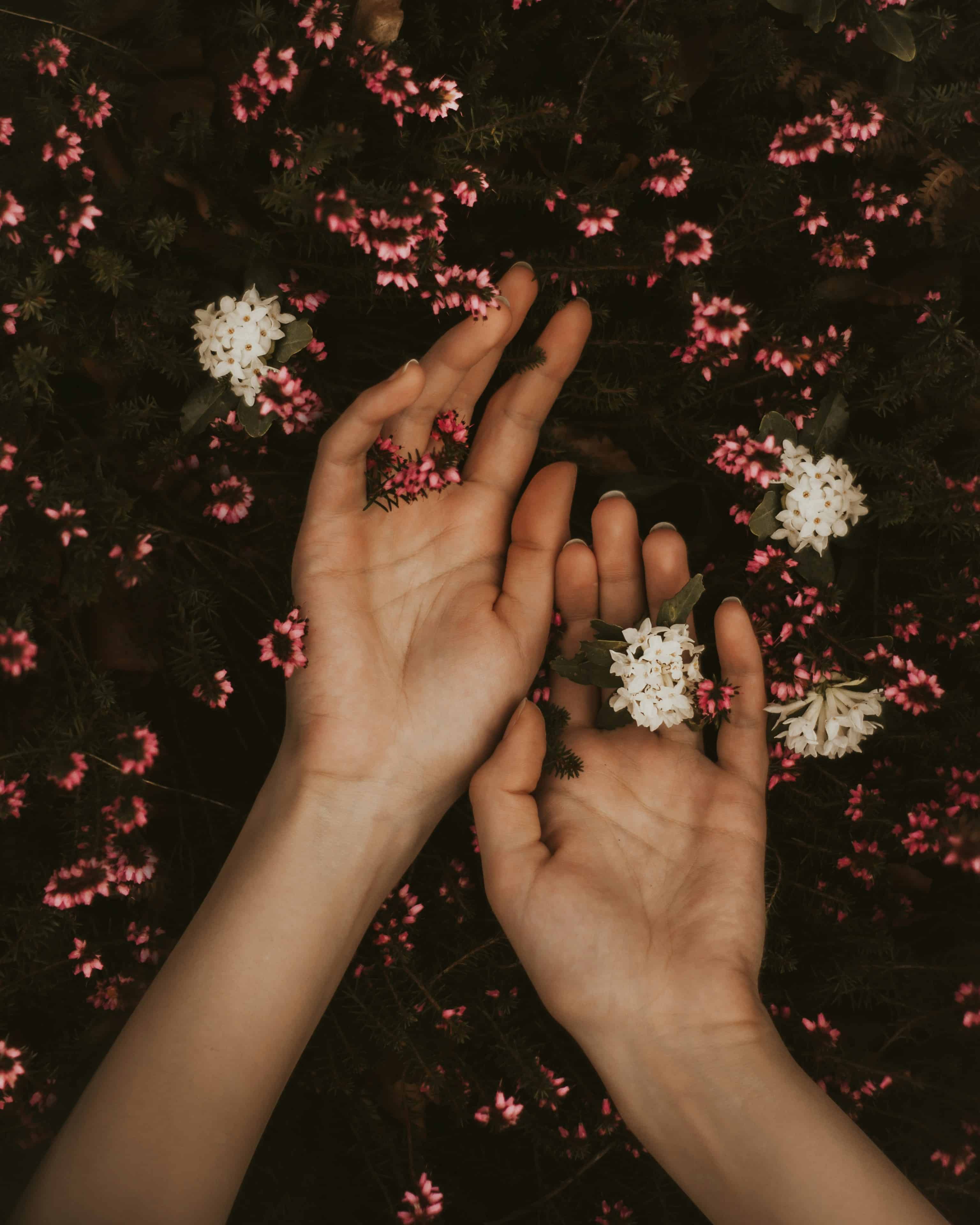 milan-popovic-etGFPzydv2E-unsplash