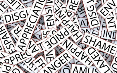 How Do you Emotionally Self-Regulate to Handle Life?