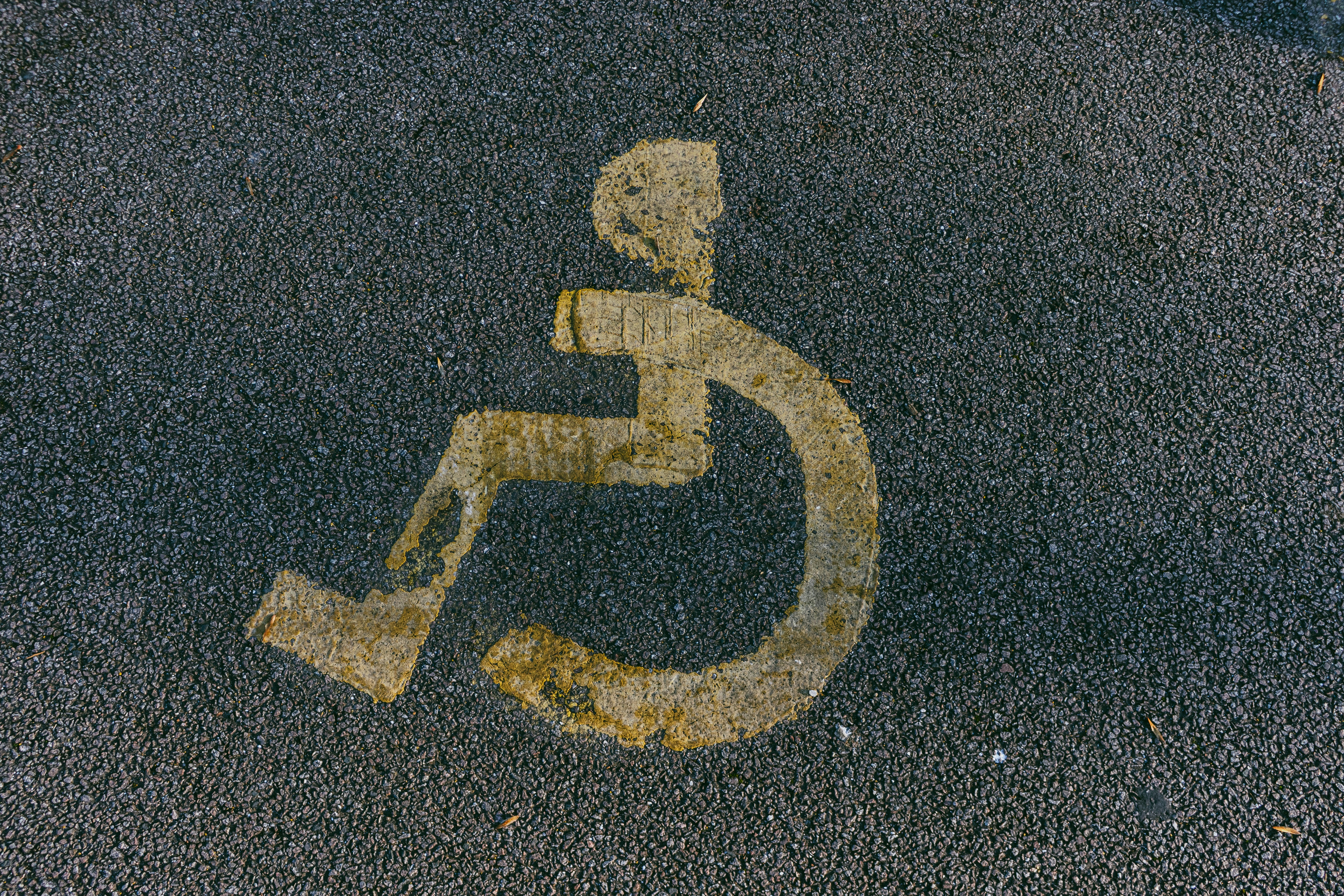 Disability Representation in the Thriller "Run" jakub-pabis-jt7WiIQOzPQ-unsplash