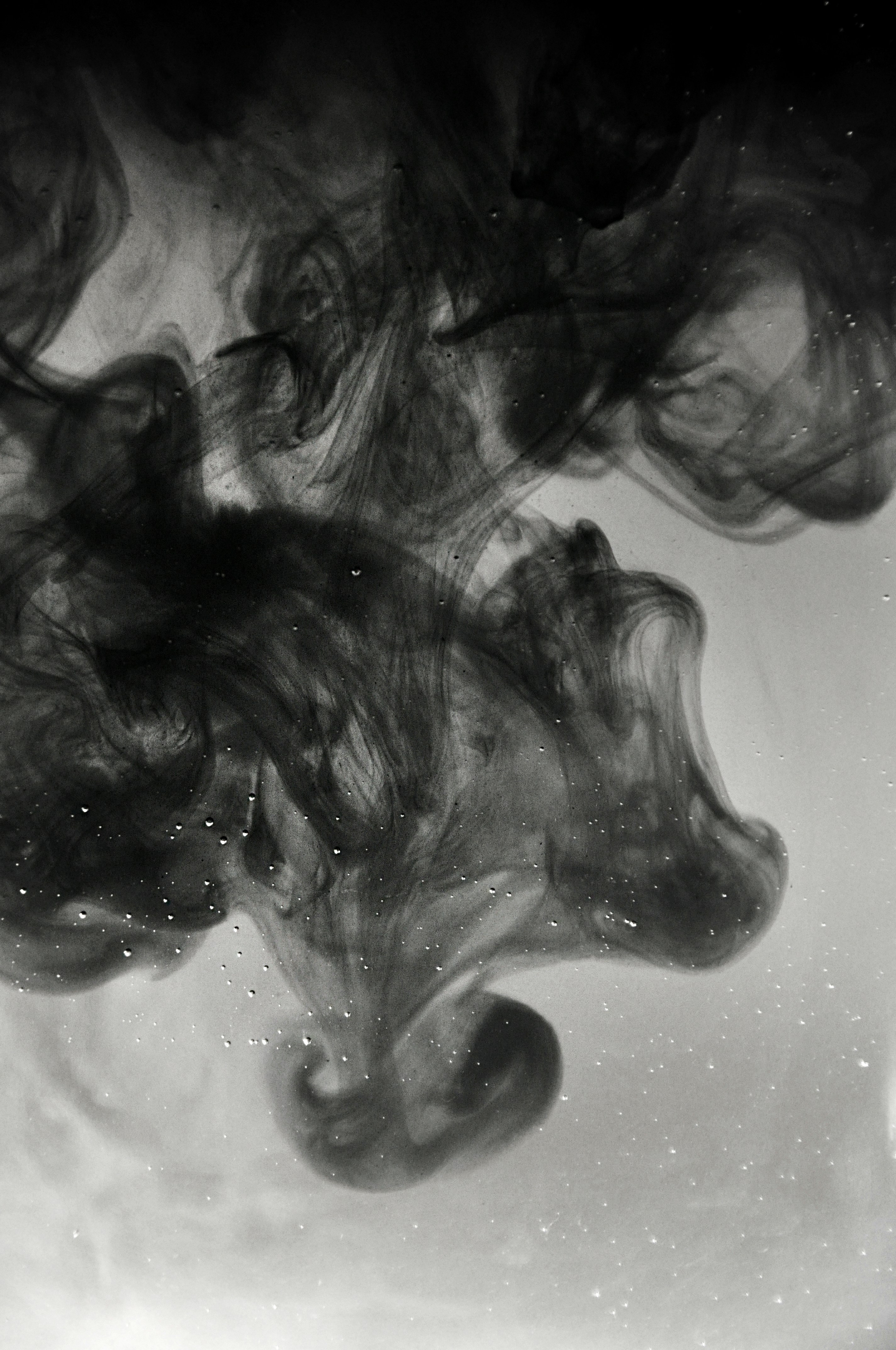 lieselot-BvxTpTj0QlA-unsplash