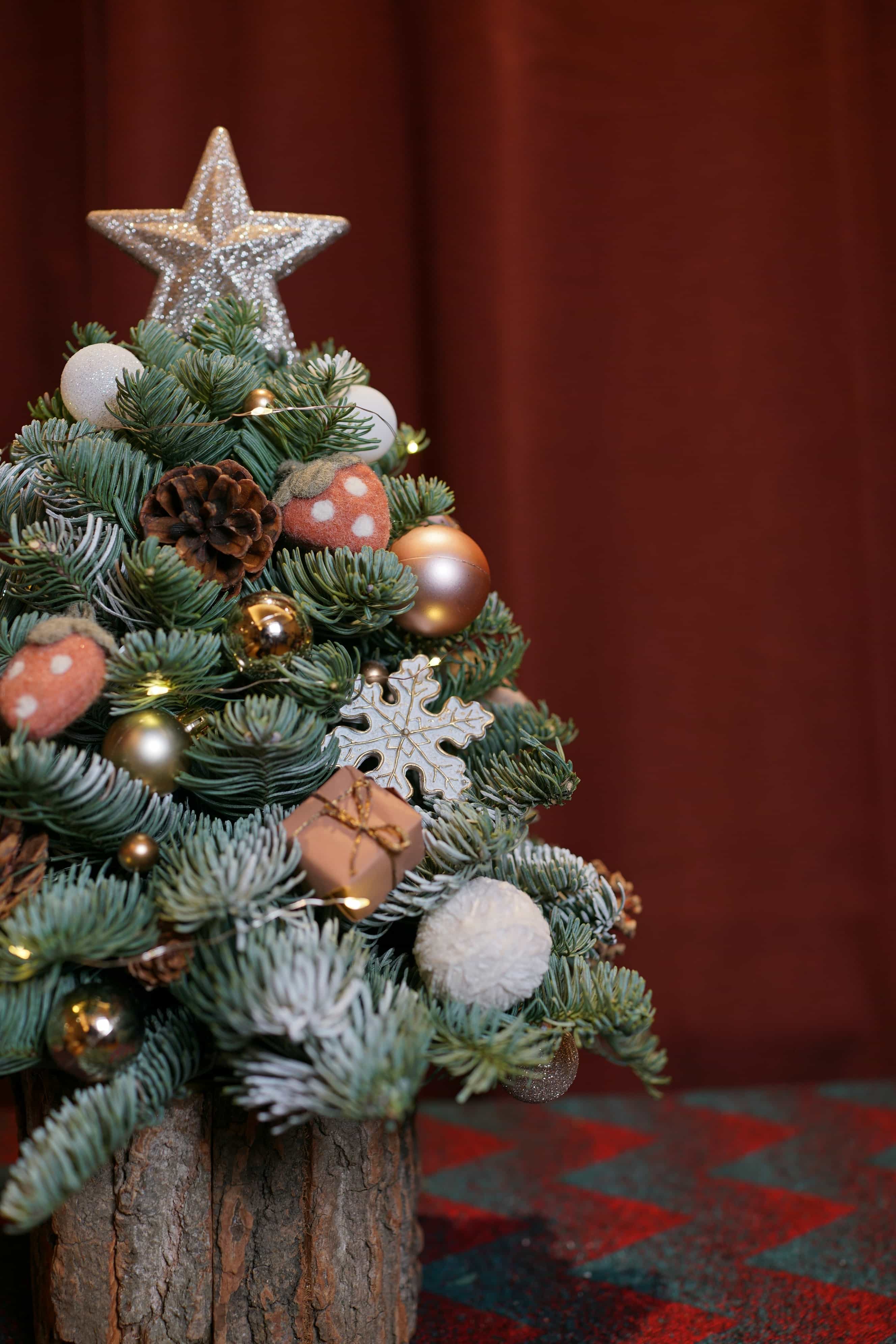 Here Come the Holidays coincidence-zwg42wSNgLc-unsplash