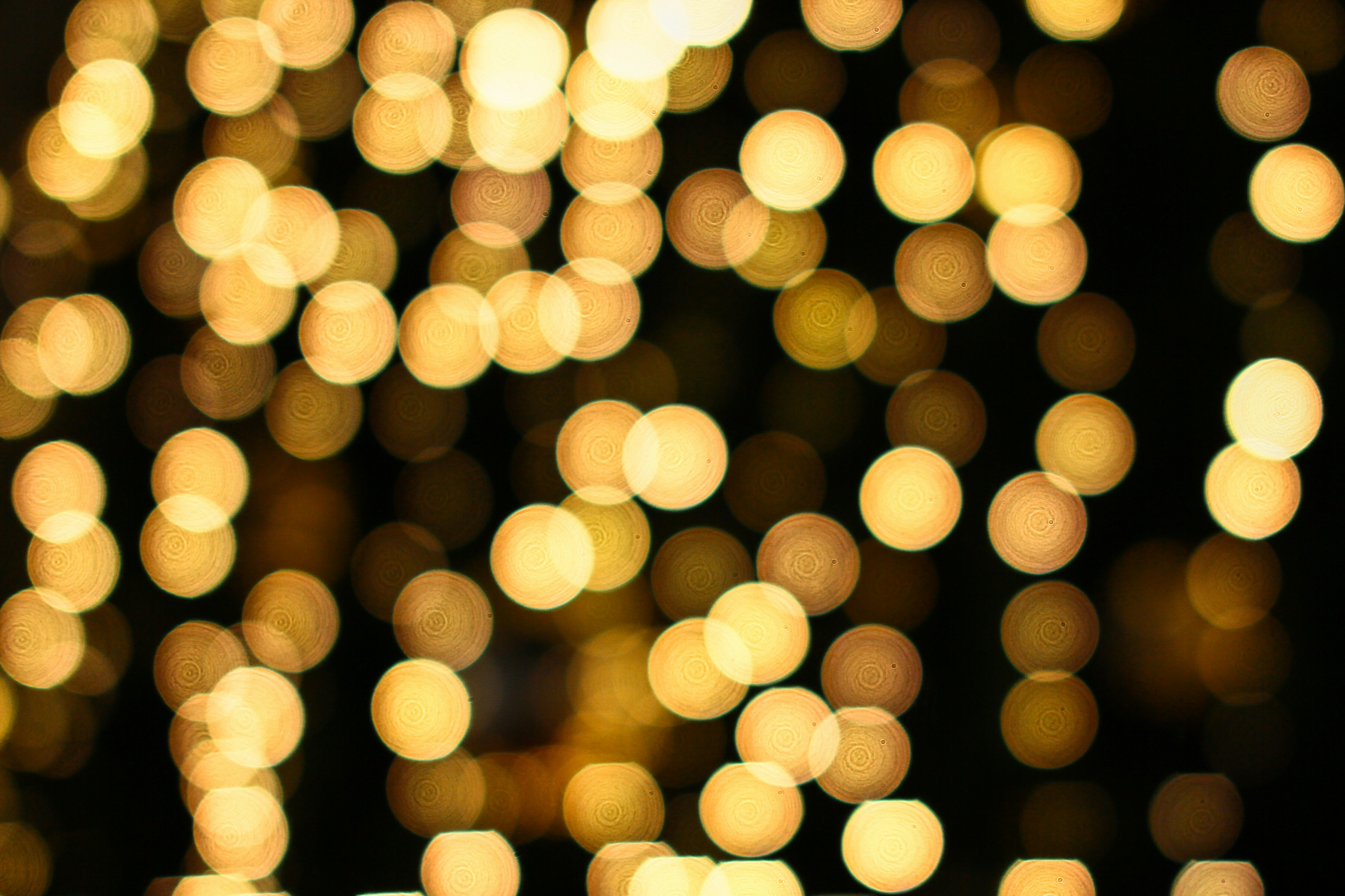 benjamin-wong-WoViiJWKLik-unsplash