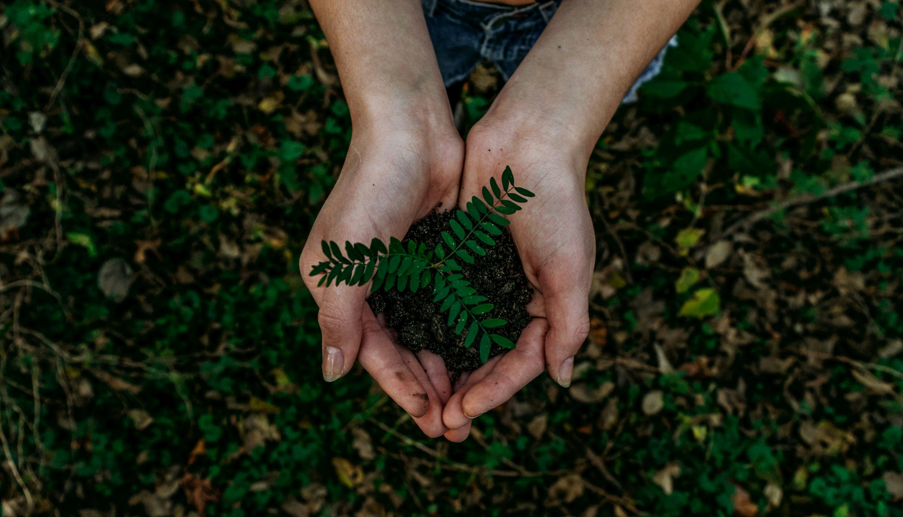 The Courage to Awaken noah-buscher-x8ZStukS2PM-unsplash