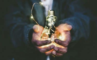 Emotional Regulation Strategies for Challenging Workplace Interactions: A Guide for Trauma Survivors