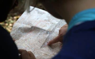 You’ve Been Asking, Here’s My Answer on Navigating Work with a Trauma-Affected Nervous System