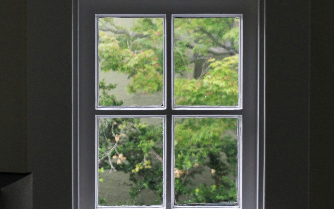 Understanding Your Window of Tolerance: A Career Survival Guide for Trauma Survivors