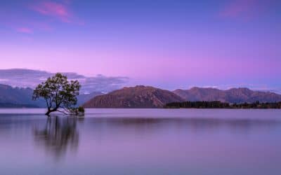 Finding Calm in the Chaos: My Journey with CPTSD
