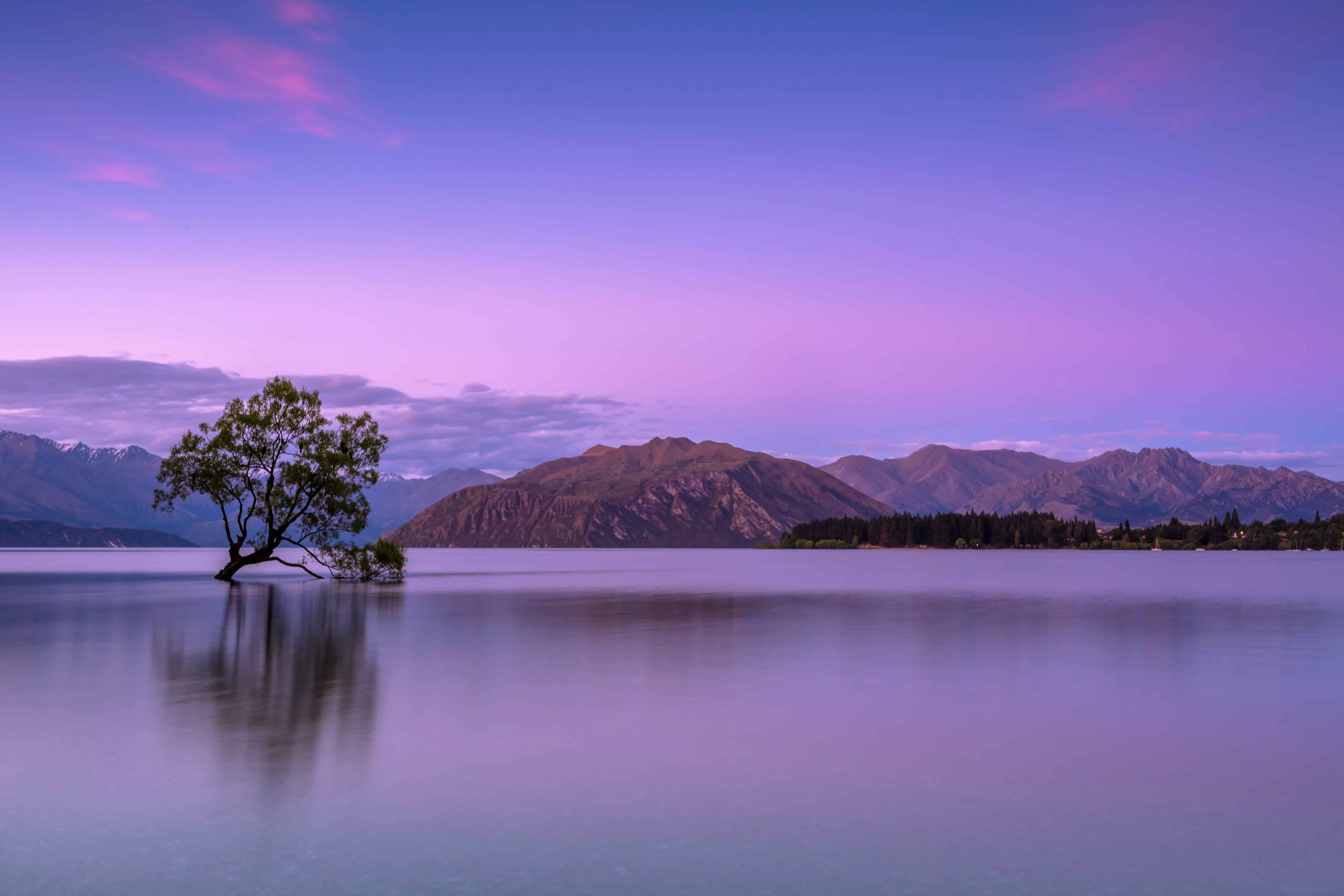 Finding Calm in the Chaos: My Journey with CPTSD ken-cheung-KonWFWUaAuk-unsplash