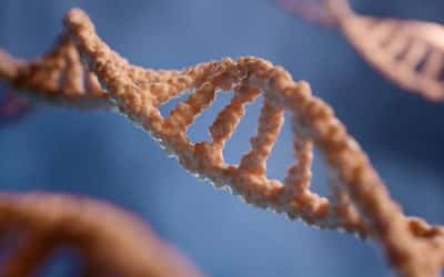 Epigenetic Trauma: Predators, Abuse, and Ancestral Healing