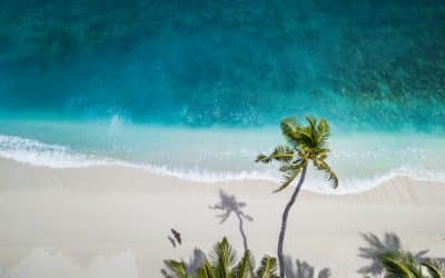 5 Summertime Nervous System Boosters