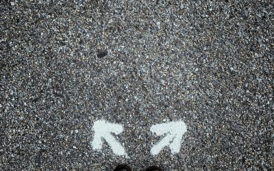 When Choice Feels Like a Luxury