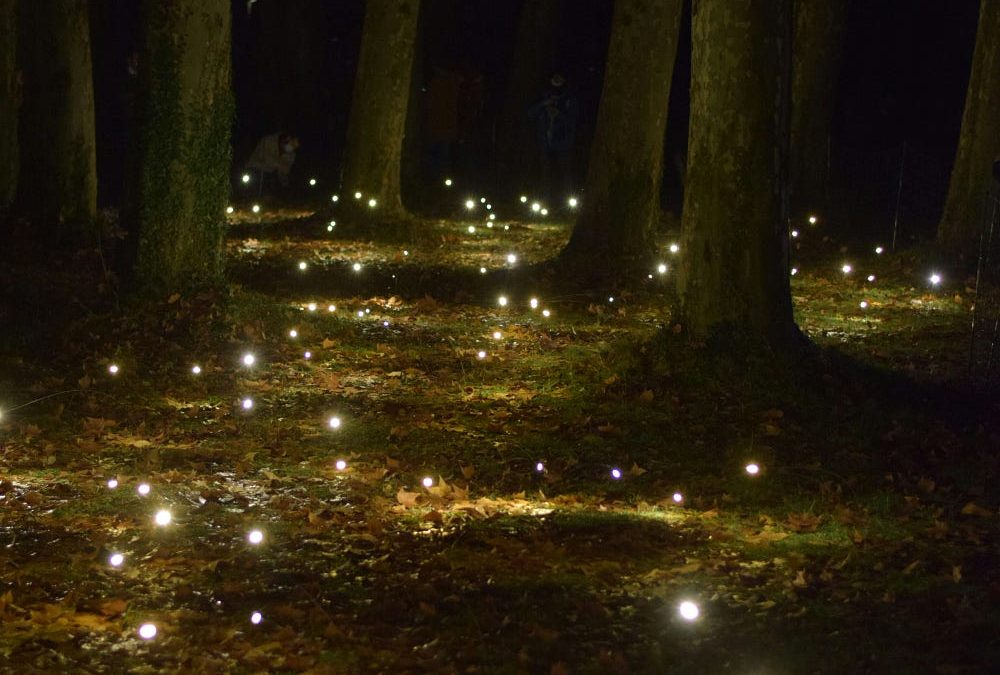 Are You Having A Bad Day? Glimmers of Hope in the Darkness