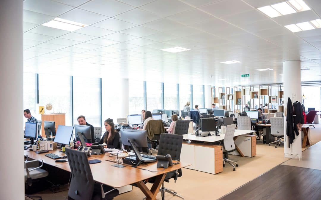 From Freeze to Flow: Strategies for Recognizing and Managing Career-Related Shutdown Responses