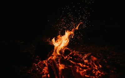 The Smoldering Embers of C-PTSD