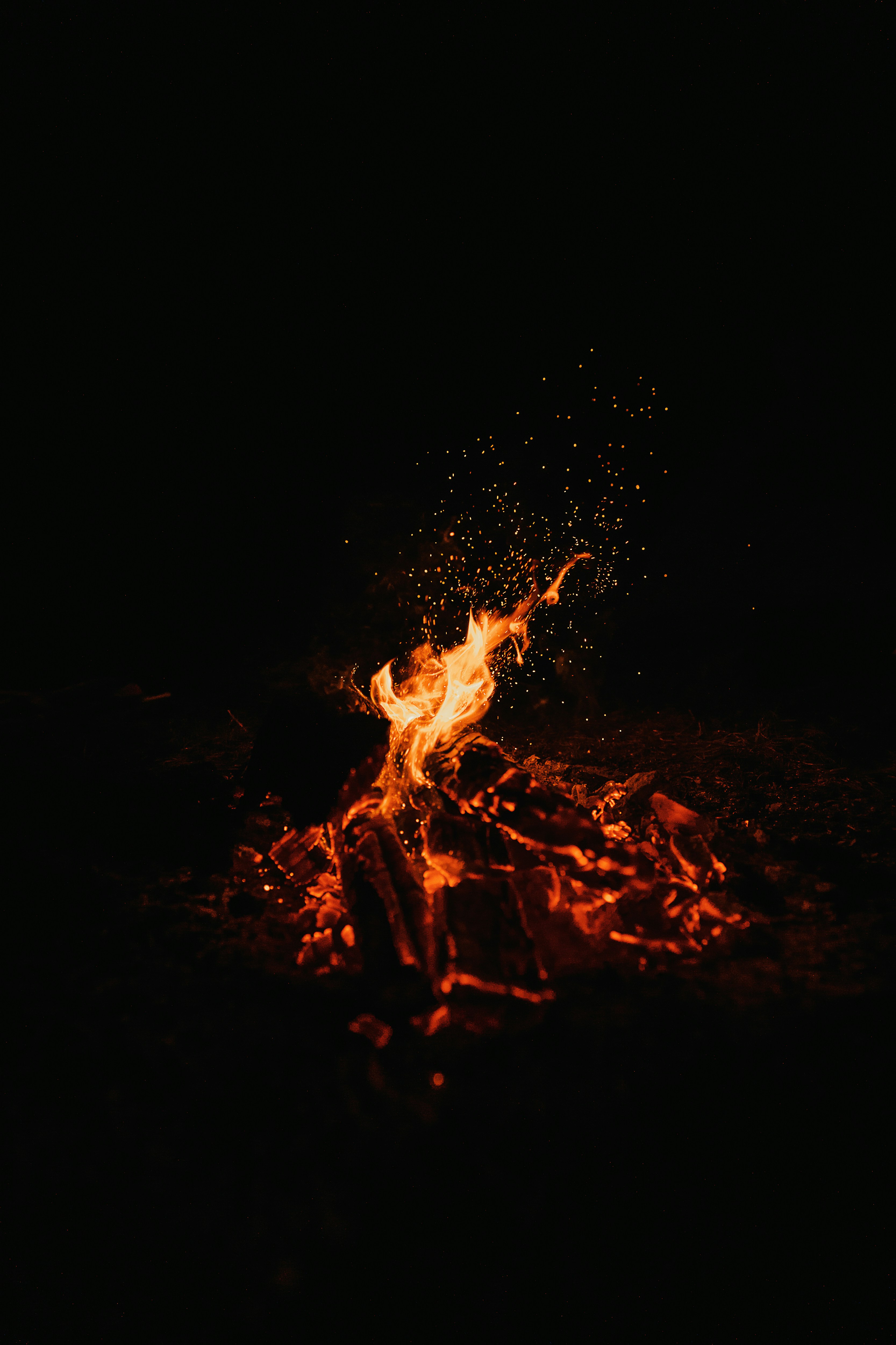 clay-banks-sgM7vHx0D2s-unsplash