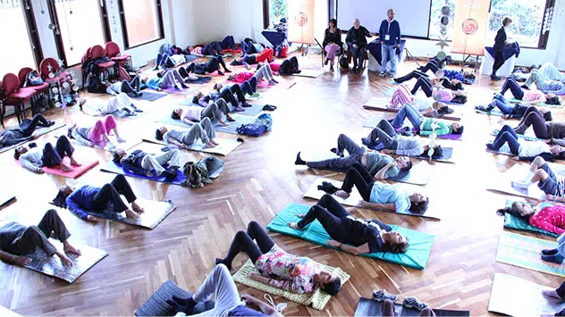 Shake It Off: TRE for Stress and Trauma Relief