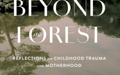 My Book Journey: Making the Invisible Visible