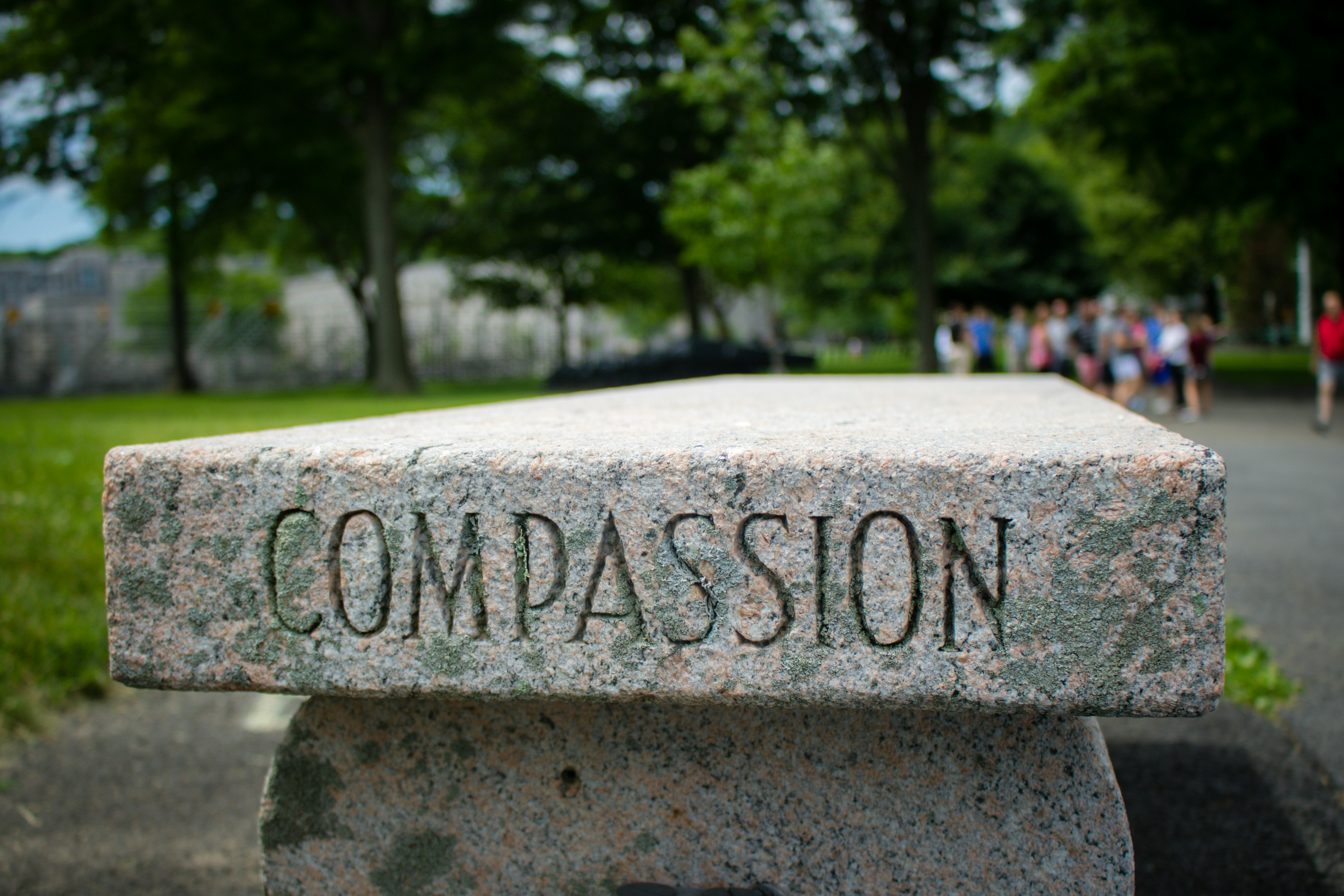 dave-lowe-vI9wPJ8L5MA-unsplash