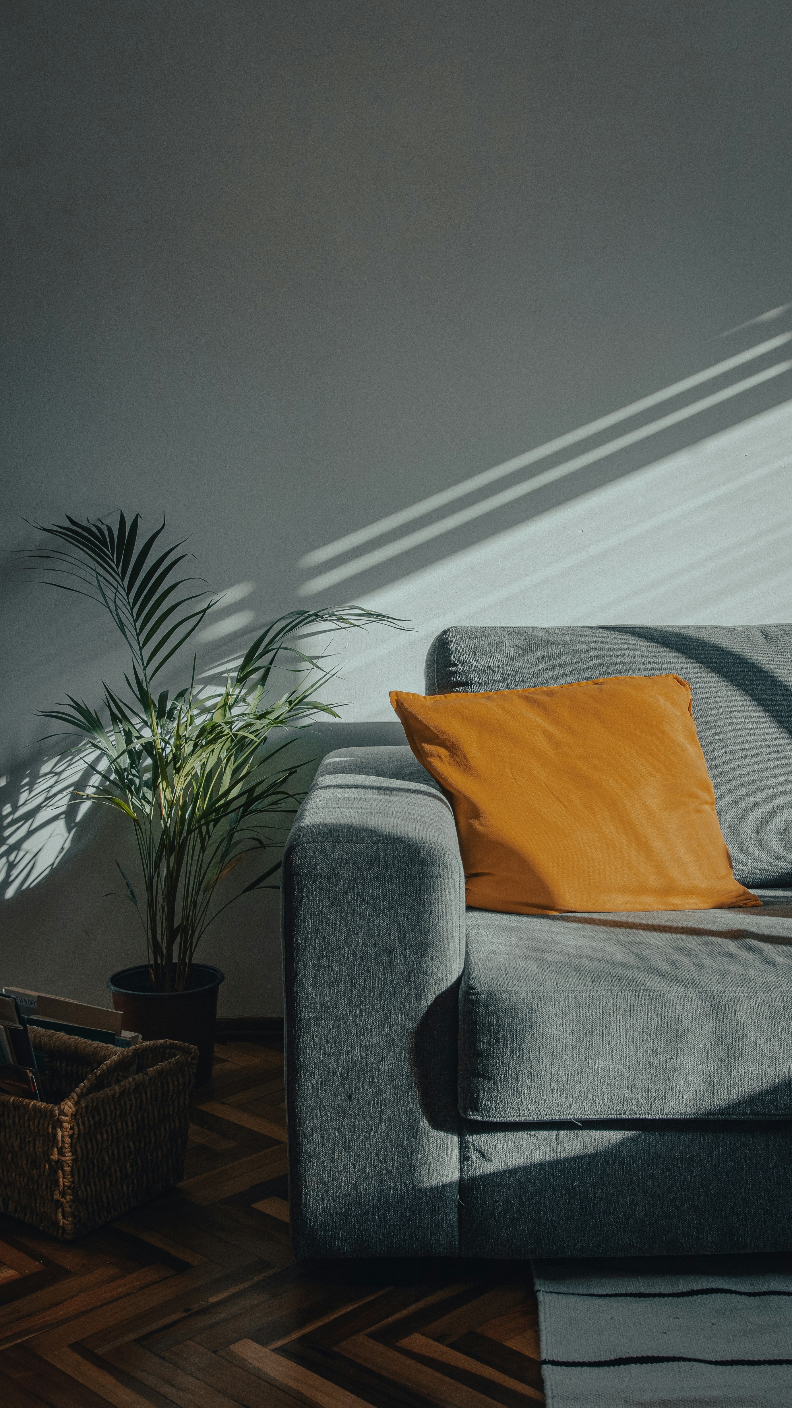 guzman-barquin-FkKClUPUURU-unsplash