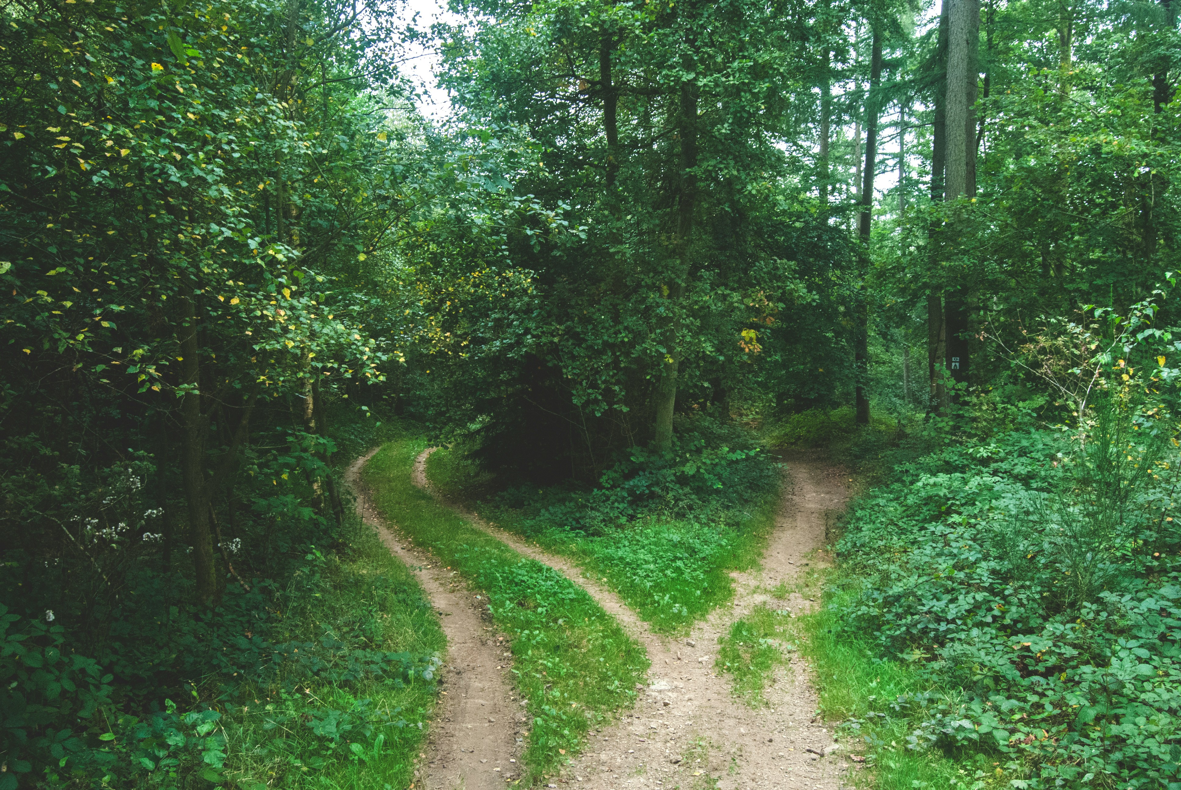 What is the Point? jens-lelie-u0vgcIOQG08-unsplash