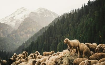 Finding Freedom in My Individuality and Overcoming the Fear of Not Being Liked