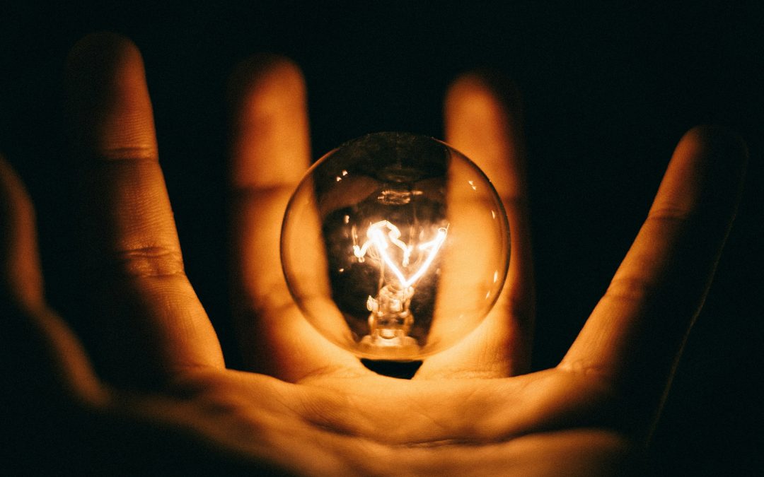 A Dragonfly Mosaic: My Journey from Fear to Love