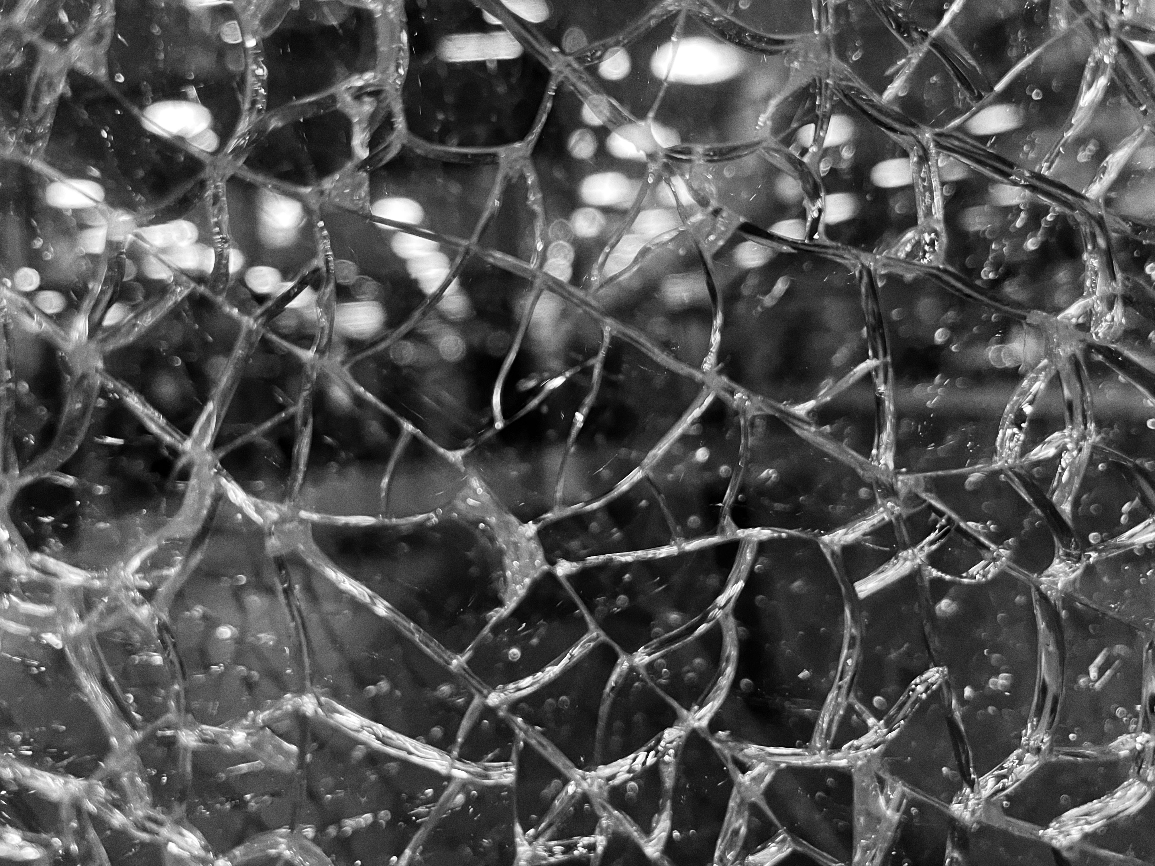 bernd-dittrich-AFfRHXabl1Q-unsplash