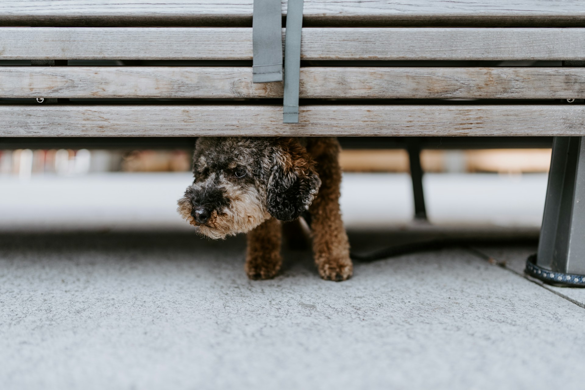 claudio-schwarz-phFhMqmWrlU-unsplash (1)