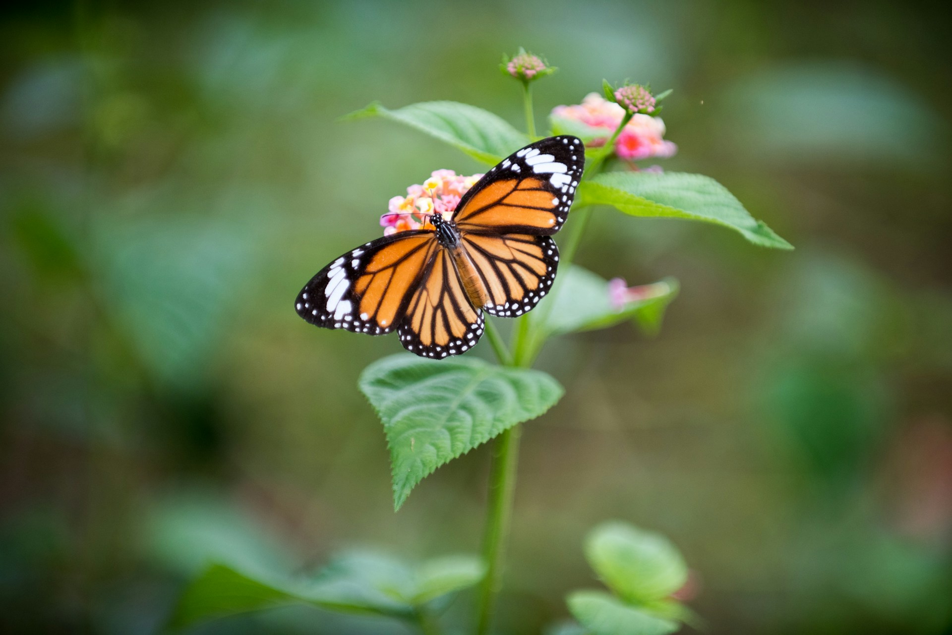 daniel-klein-uNNPbsCTksk-unsplash