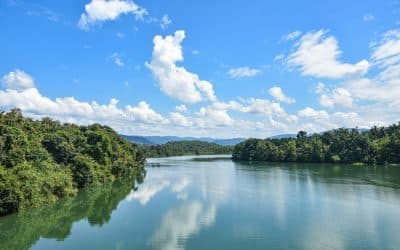 Complex PTSD - The Damage from Abuse and Trauma