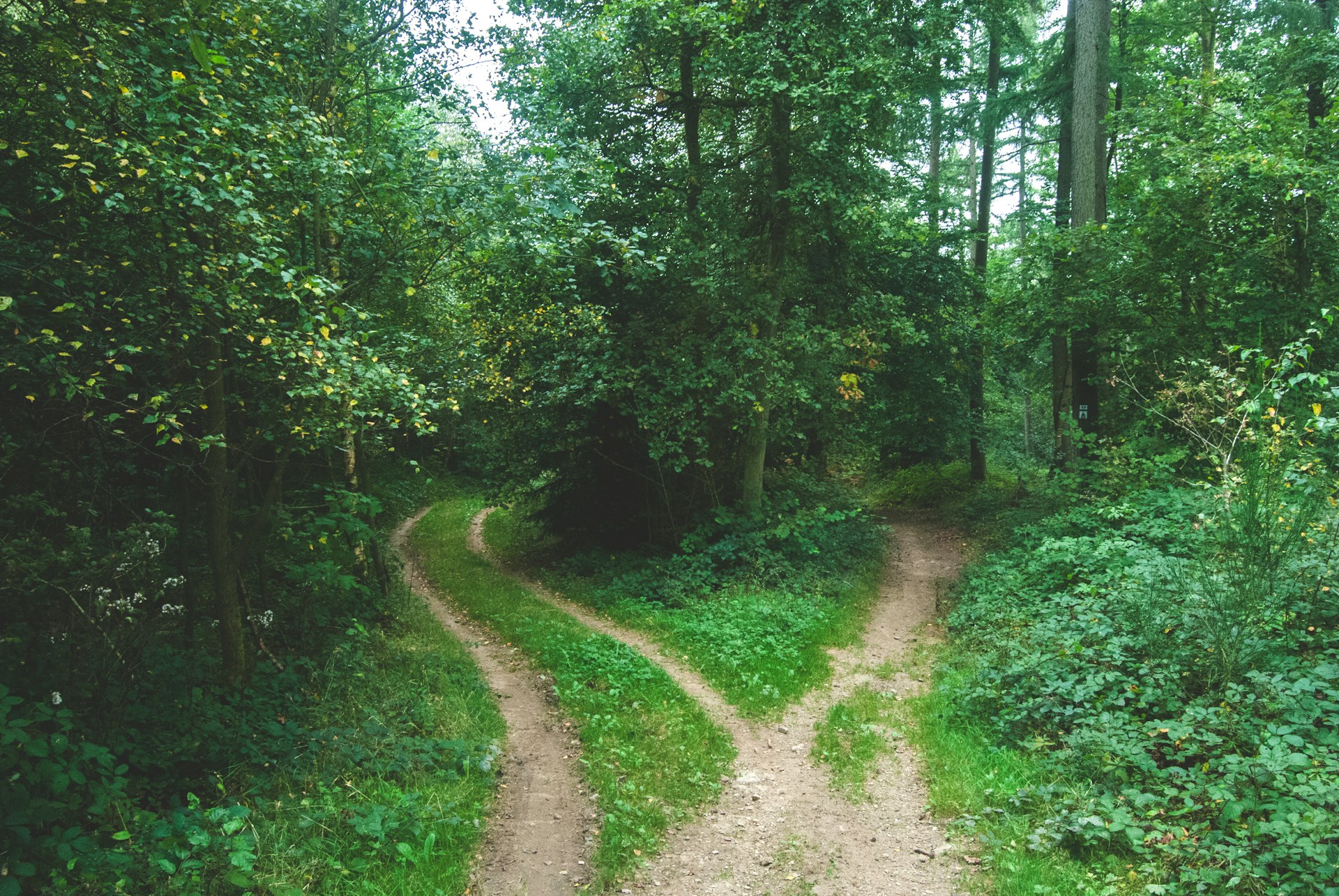 Letter of Encouragement jens-lelie-u0vgcIOQG08-unsplash