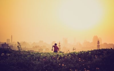 Developmental Trauma Pt 2: When Survival is a Way of Life