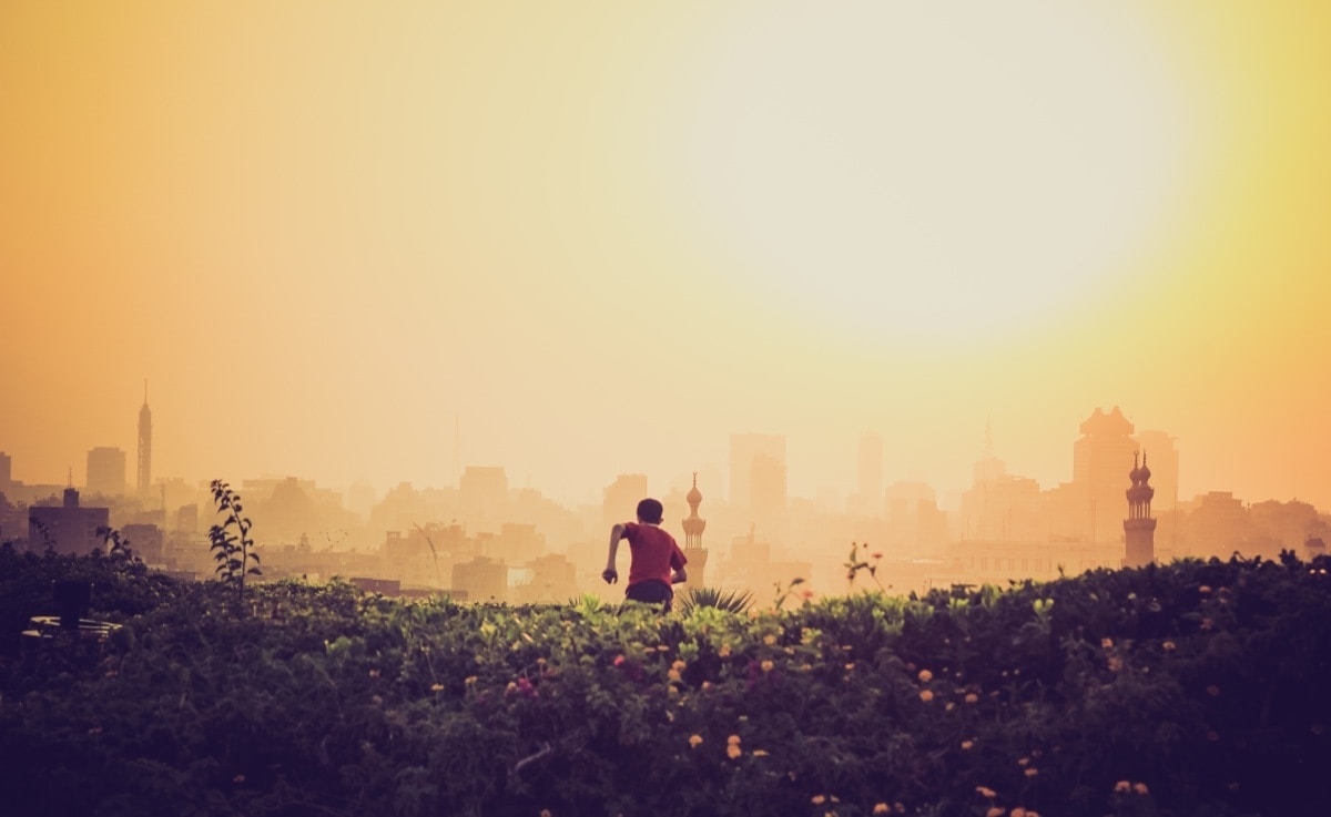 Developmental Trauma Pt 2: When Survival is a Way of Life linh-nguyen-J8k-gzI0Zy0-unsplash