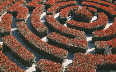 The Labyrinth of Healing: What Complex Trauma Taught Me About Becoming Whole (Part 1)