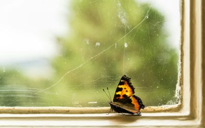 Developmental Trauma Series: 3 – Why Insight Alone Does Not Heal Developmental Trauma