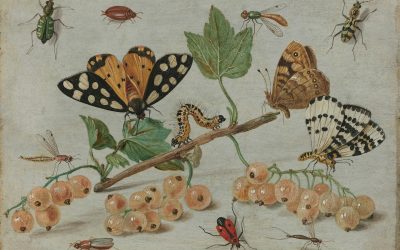 Feelings Aren’t Insects