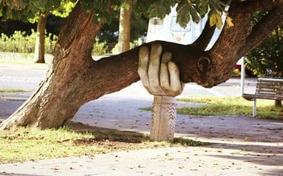 Who is Your “Person”? It takes a village to raise a child… But What About Adults?