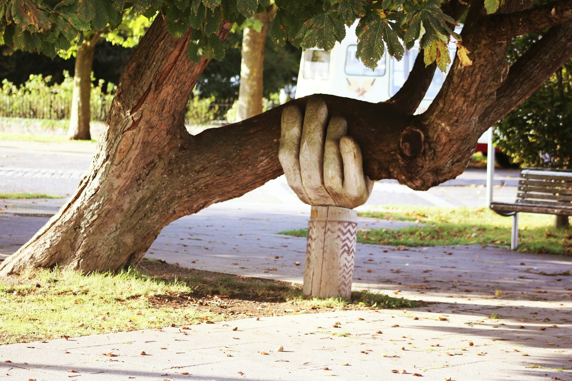 Who is Your "Person"? It takes a village to raise a child… But What About Adults? neil-thomas-SIU1Glk6v5k-unsplash