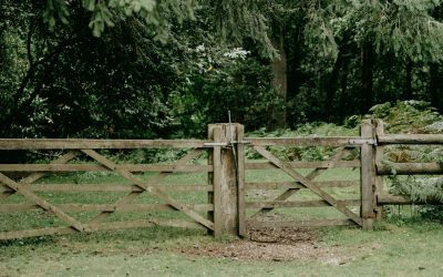 Raised Without Boundaries? Read This.
