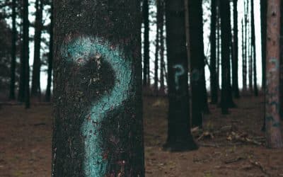 Trauma Explains a Lot. It Does Not Make Personality Disorders Imaginary