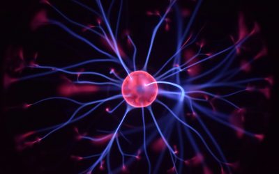 Trauma and Its Effect on the Brain
