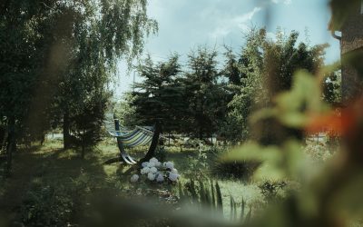 The Trauma Survivor Who Can Handle Crisis but Not Rest