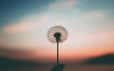8 Things Survivors Need to Stop Apologizing For | Part 7 | Prioritizing Your Peace