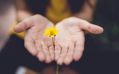 Developmental Trauma Part 4 – Why Healing Can Feel Harder Before It Feels Better-When the Wounded Part Emerges